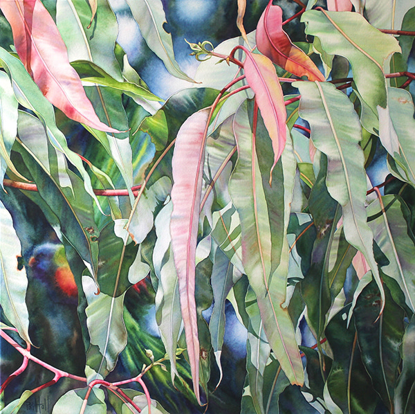 Hide by Pat Hall | Lethbridge Gallery